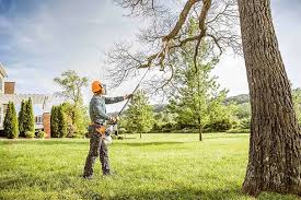 Best Tree Health Inspection  in Vienna, GA